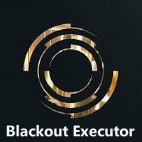 Blackout-Executor